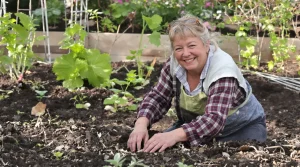 Plus productif que la pomme de terre, ce légume japonais séduit de plus en plus de jardiniers